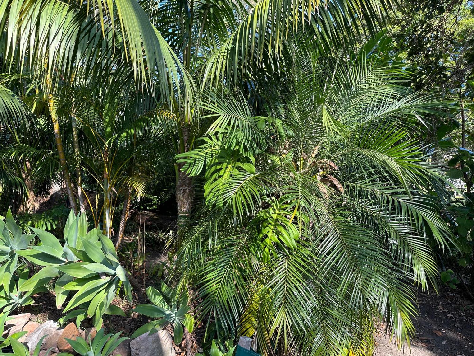 Palm Beach Bed & Breakfast Esterno foto
