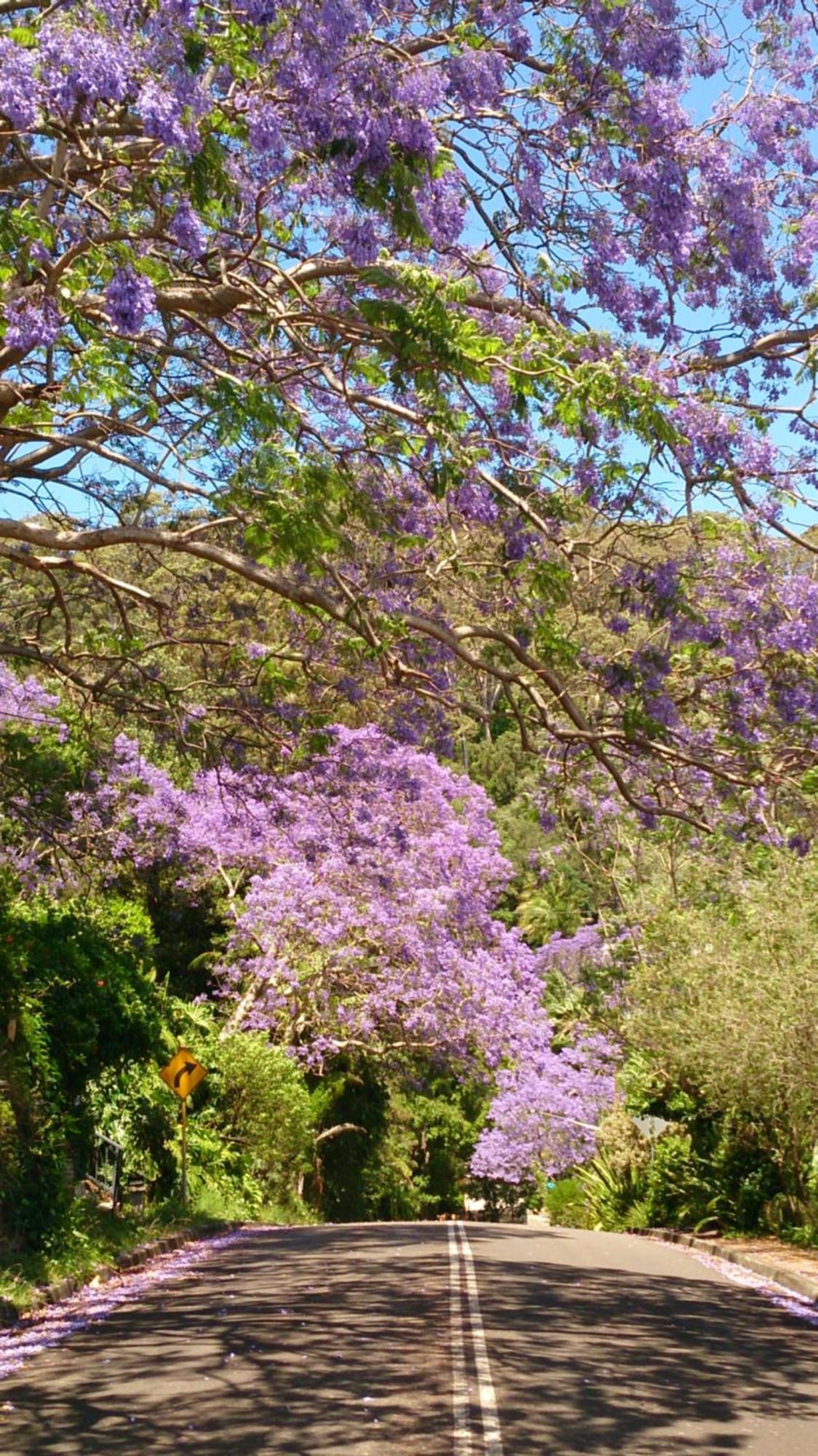 Palm Beach Bed & Breakfast Esterno foto