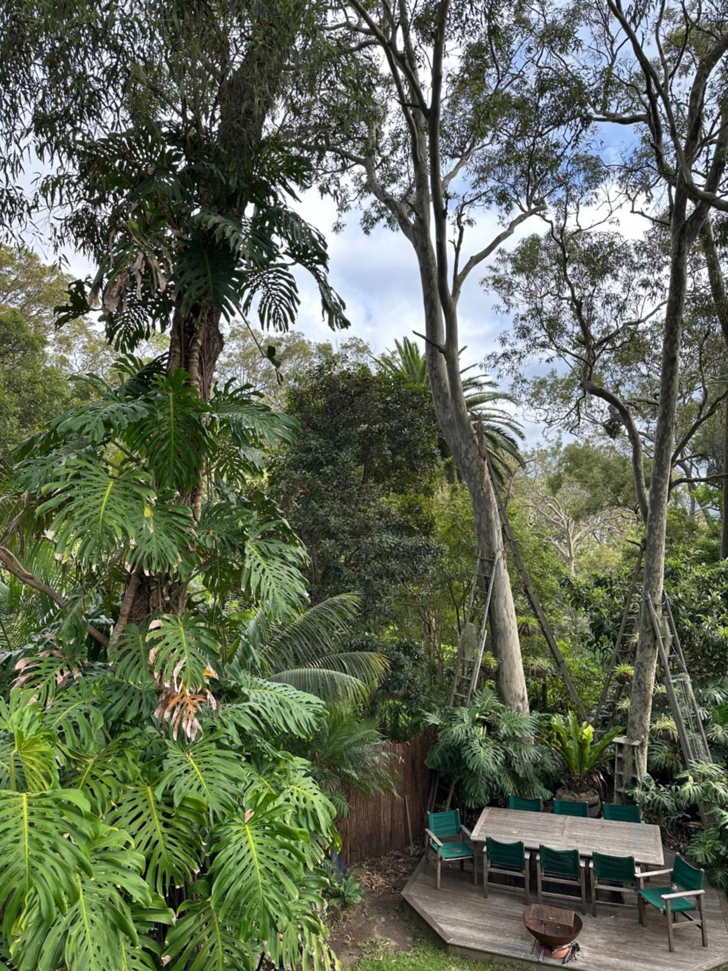 Palm Beach Bed & Breakfast Esterno foto